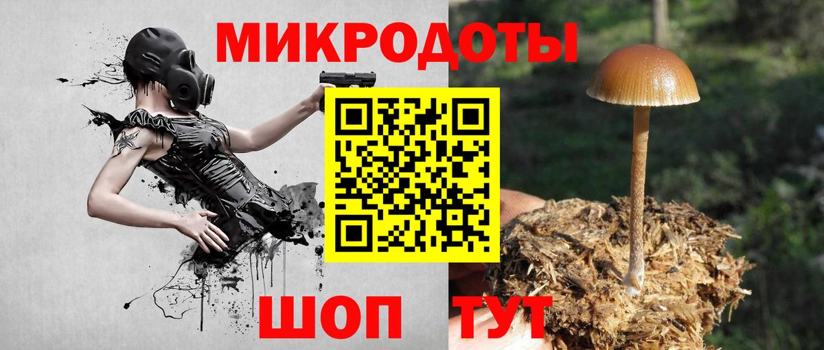 Псилоцибиновые грибы мухоморы  Вход с VPN  Галлюциногенные грибы прущие грибы  закладки  Королёв 